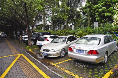 路边绿化带被画上停车格成停车场